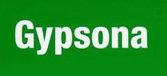 Gypsona