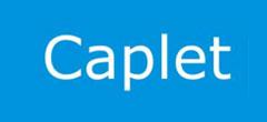 CAPLET INDIA PVT LTD